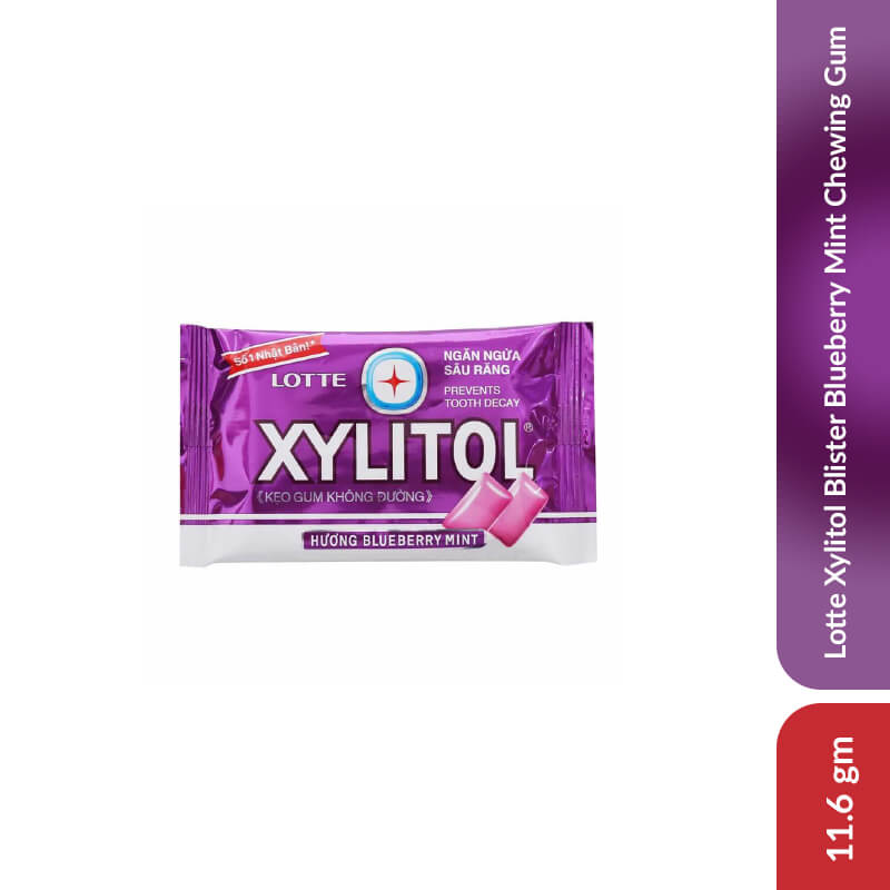 lotte-xylitol-blister-blueberry-mint-chewing-gum-11-6-gm